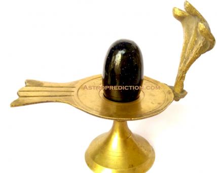 neelkanth shivling buy online original lingam enegrgized astroprediction com